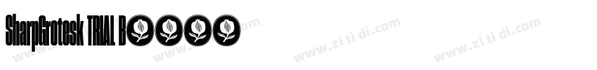 SharpGrotesk TRIAL B字体转换 SharpGrotesk TRIAL B字体转换
